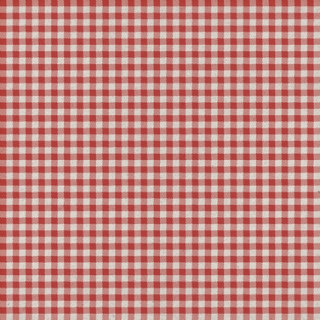 Furry Cuddles Red Check Gingham Paper Graphic By Jessica Dunn