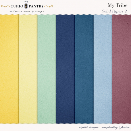 My Tribe Solid Papers 2 By Jessica Dunn Graphics Kit