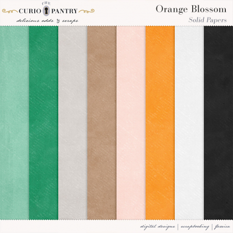 Orange Blossom Solid Papers By Jessica Dunn Graphics Kit