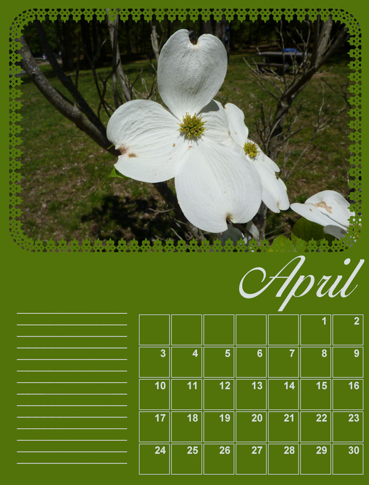 2022 Calendar March Dogwood by Bonnie Ballentine