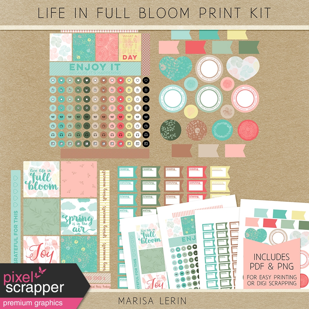 Life in Full Bloom Print Kit by Marisa Lerin graphics kit ...