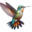 Hummingbird Flight 