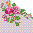 Roses & Plaid Background