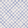 Woolen Mill Paper Gingham