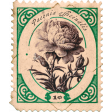 Orange Blossom Flower Postage Stamp