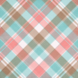 Simply Sweet Plaid Paper 05