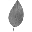 Leaf Template 023