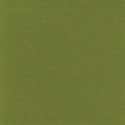 Turkey Time Solid Papers- Solid Dark Green Paper