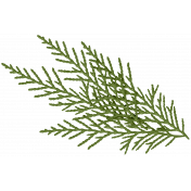 It's Christmas- Green Pine Branch