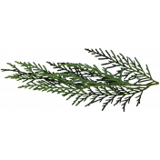 It's Christmas- Green Pine Branch #02
