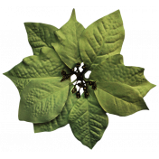 It's Christmas- Green Poinsettia