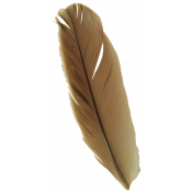 Oh Baby, Baby- Brown Feather