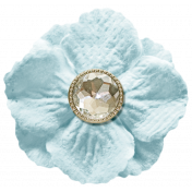 Oh Baby, Baby- Blue Flower With Diamond