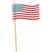 Space Explorer- USA Wavy Flag