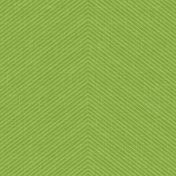 Outdoor Adventures- Geometric Stripes Paper- Green