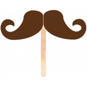 Mustache On A Stick