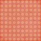Circles 18 Paper- Peach & Coral