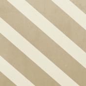 Stripes 26 Paper- USA 
