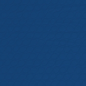 Challenged Solid Paper- Navy- Embossed