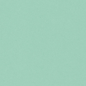 Challenged Solid Paper- Seafoam