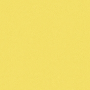 Challenged Solid Paper- Yellow