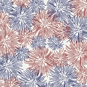July Fourth Paper- Fireworks