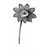 Flower Stamp 04
