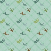 Malaysia Birds Paper- Teal