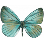 Butterfly 18