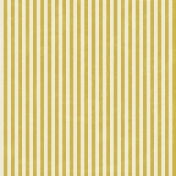 Outer Space Stripes Paper