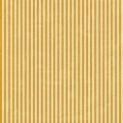 Stripes 54- Gold & White Paper