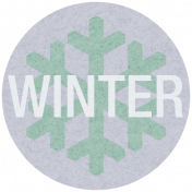 DSA Feb 2014- Winter Coin
