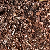 Real Textures 071- Dirt