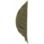 Leaf 014