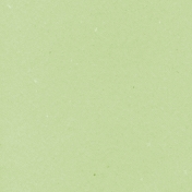 Mexico Solid Paper- Light Green