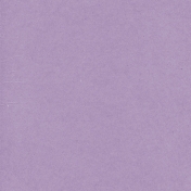 Mexico Solid Paper- Purple