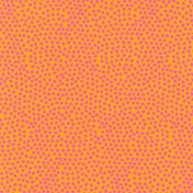 Mexico- Floral Paper- Orange & Pink