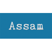 Word Bit: Assam- Tea Cup
