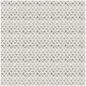 Argyle 34- Glitter Transparency- Silver