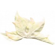 Arabia Flower- White 2