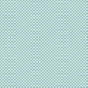 Checkered 06- Aqua & White