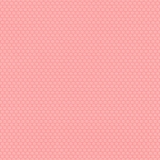 Bolivia Circles Paper- Pink