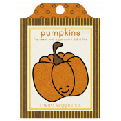 The Veggie Patch Seed Packets- Pumpkin