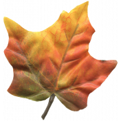 Autumn Art- Leaf