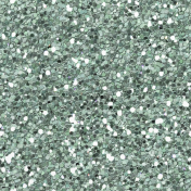 Birds in Snow Glitter- Light Teal