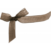 Be Mine- Brown Organza Bow