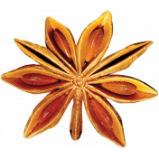 Christmas Memories Star Anise