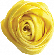 Yellow Ribbon Rose 01