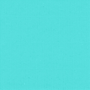 Tropics Paper Solid Teal