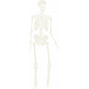 Spook Skeleton White